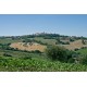 Properties for Sale_OLD FARMHOUSE WITH SEA VIEW FOR SALE IN LE MARCHE Country house to restore with panoramic view in central Italy in Le Marche_19